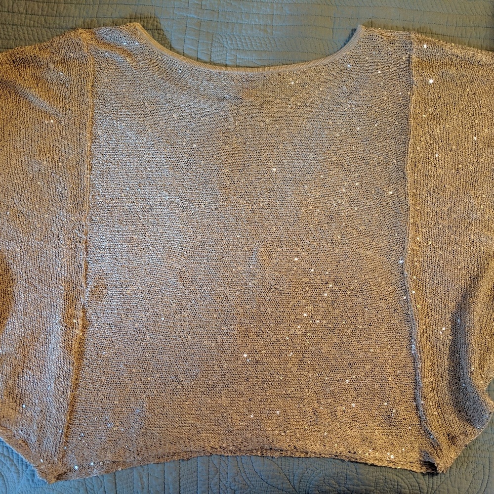 Beautiful, silvery shell sweater with sequins
